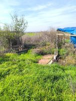 M.k.paşa Gayrimenkulden Üçbeyli'de 2730m2 Hobi İçin Uygun Arsa