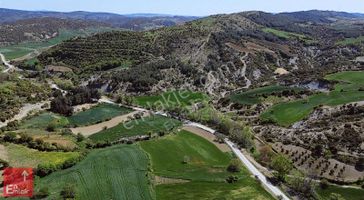 Fındıklı Köyü Ana Yola Cepheli Yatırımlık Tarla