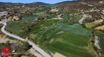 Fındıklı Köyü Ana Yola Cepheli Yatırımlık Tarla