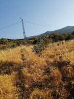 İsmail Yıldırım Emlak'tan Demrek'te Tek Tapu 8.753 M2 Tarla