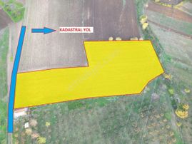 Kaynarca Da Müstakil Ev Yapımına Uygun 6445 M² Fırsat Arazi