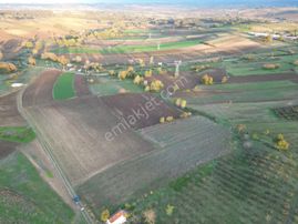 Kaynarca Da Müstakil Ev Yapımına Uygun 6445 M² Fırsat Arazi