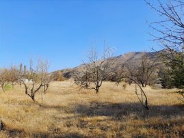 Cska Gayrimenkul'den Yeşilyurt Hıroğlu'nda Villa İmarlı Arsa