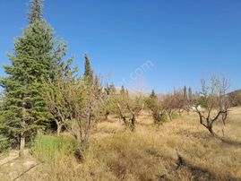 Cska Gayrimenkul'den Yeşilyurt Hıroğlu'nda Villa İmarlı Arsa