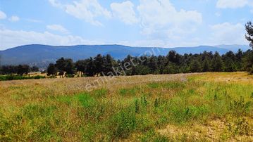 Çomaklı Hacıbekar Da 8070 M2 Yatırımlık Satılık Tarla