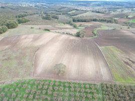 Kaynarca Kayacık Ta Çiftlik Yapımına Uygun 19.736 M² Arazi