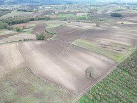 Kaynarca Kayacık Ta Çiftlik Yapımına Uygun 19.736 M² Arazi