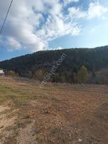 Bizim Emlak'tan Çamlıyayla Fakılarda 1075 M2 Satılık Arsa