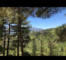 Pozantı Yeni Konacık Ta Efes Sitesi Alti Mükemmel Manzarali Hemen Ev Yapilabilir Arsa