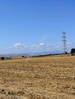 Bandırma Yenısığırcıde Manyas Gölü Manzaralı Hobi Bahçesi