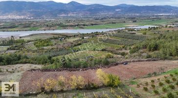 Geyve Bozören Mahallesi 9200 M² Fırsat