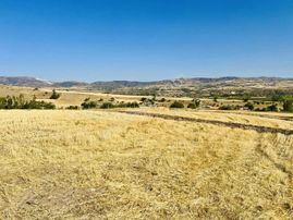 Nova Kahramankazan'dan İçviran Tek Tapu Bahçe