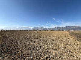 Antalya Elmalı Zümrütova Da Satılık Tarla Seraya Uygun