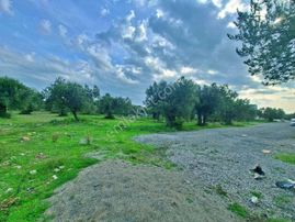 Uytundan Akçay-güre Arası Cemiltemelde 500 Metrekare İmarlı Arsa