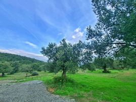 Uytundan Akçay-güre Arası Cemiltemelde 500 Metrekare İmarlı Arsa