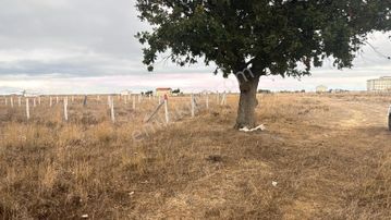 Kapaklı Atatürk Mah. Satılık 262m2 İmarlı Kupon Arsa