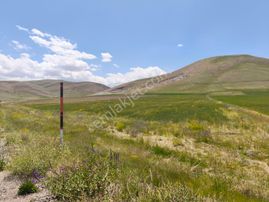 Çatak Yoluna Sıfır Satılık 32 Dönüm Yatırımlık Arsa