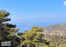 Lımopol Den Seydıkemer Dodurga Denız Manzaralı Arazı
