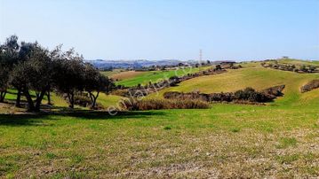 Adana Çukurova Kabasakal Satılık Villa İmarlı Arsa