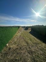 Mülk Mahallesin'de Yeşilin İçinde Satılık Bahçeler!!