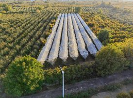 Samanlı'da Fırsat Tek Tapu 5 Dönüm Elektrik Önünde