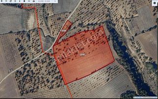 Bilecik Gölpazarı Çımışkı Da 22.750 M2 Yolu Olan Acil Satılık