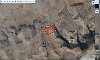 Bilecik Gölpazarı Çımışkı Da 22.750 M2 Yolu Olan Acil Satılık