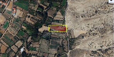 Isaparta Şarkikaraağaç Ta Sulak Srazi -1.863 M2 Bitişik 2 Parsel