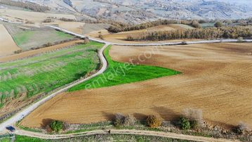 Derınce Geredelı'de Satılık Ünıversıteye Çok Yakın Arazı