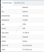 Eu Gayrimenkul'den Balıkesir Edremit Altınolukta Asfalta Cephe 15.700 Metrekare Zeytinlik