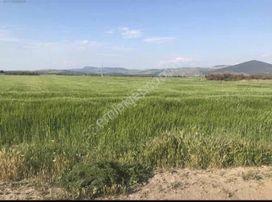 Eu Gayrimenkul'den Çanakkale Ayvacık Gülpınarda 8900 Metrekare Kadastral Yolu Olan Tarla