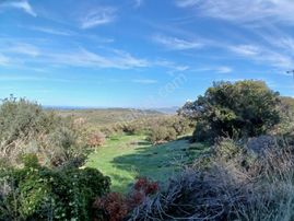 Eu Gayrimenkul'den Babakale-gülpınar Asfaltına Cephe 8 Dönüm
