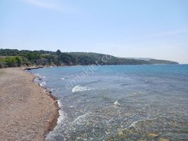 Eu Gayrimenkul'den Çanakkale Ayvacık Gülpınar'da Villaların Dibinde 6171 Metrekare Zeytinlik