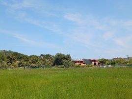 Eu Gayrimenkul'den Çanakkale Ayvacık Gülpınar'da Villaların Dibinde 6171 Metrekare Zeytinlik