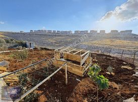 İmamoğlu Group'tan Akabe Toki Yanında Satılık Hobi Bahçesi