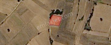 Eu Gayrimenkul'den 3800 Metrekare Kadastral Yolu Olan Tarla