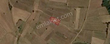 Eu Gayrimenkul'den Tekirdağ Saray'da1800 Metrekare Köy Merkezine Yakın Tarla