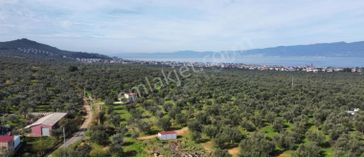 Eu Gayrimenkul'den Taylıelinde Yolu İzni Alınmış 454 M2 Arazi