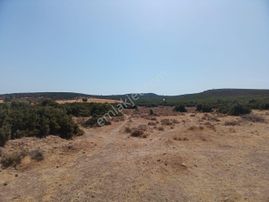 Eu Gayrimenkul'den Çanakkale Ayvacık Gülpınar'da 8348 Metrekare İmarlı Arsa