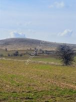 Expert'ten Dazkırı Çamlık'ta Satılık 2782 M² Tarla