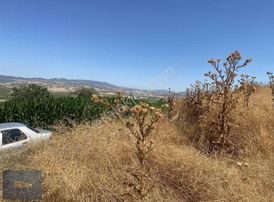 Semih'den Ebeköyde İmara 200 Metre Şehir Manzaralı Hesaplı Arazi