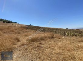 Semih'den Ebeköyde İmara 200 Metre Şehir Manzaralı Hesaplı Arazi