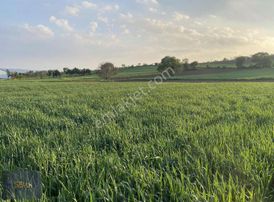 Semih'den Afşarda Şok Şok Otobana 200 Metre İmara 600 Metre