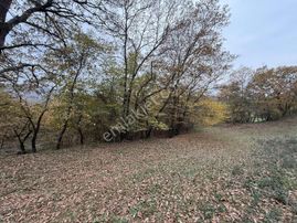 İzmit Nebihoca Yatırımlık 4589m² Satılık Tarla