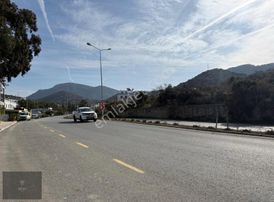 Anayola Sıfır Satılık Ticari İmarlı Arsa