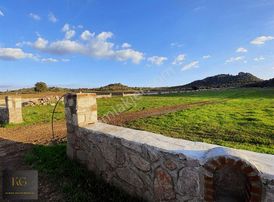 İzmir Dikili Demirtaş Mah Kadastro Yola Sıfır Tarla