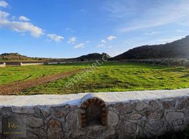 İzmir Dikili Demirtaş Mah Kadastro Yola Sıfır Tarla