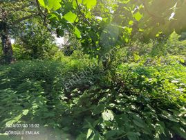 Acil Satılık Görgülü Emlaktan Satılık 384m2 Arsa + Kargır Ev