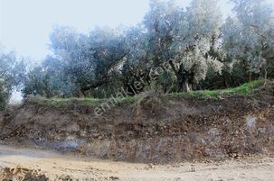 Her Sabah Göl Manzarasıyla Uyanın Müşkülede Doğanın Kalbinde