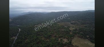 Kozak Yaylasında Yatırımlık Tarla